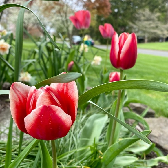 Meet your Posher, Kailey - Picture 2 of 7